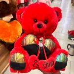 Large red soft teddy bear with decorative heart romantic gift
