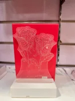 LED rose flower lamp with glowing acrylic double rose design