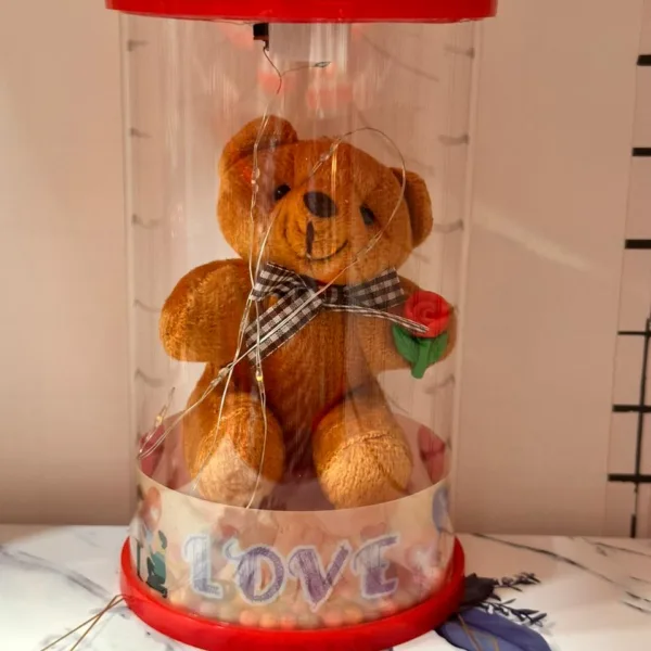 Teddy bear inside transparent bottle with LED lights - brown