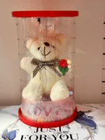 Teddy bear inside transparent bottle with LED lights - white
