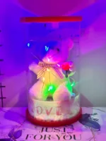 Teddy bear inside transparent bottle with LED lights