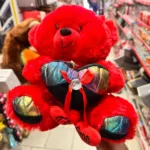 Red soft teddy bear with decorative heart romantic gift