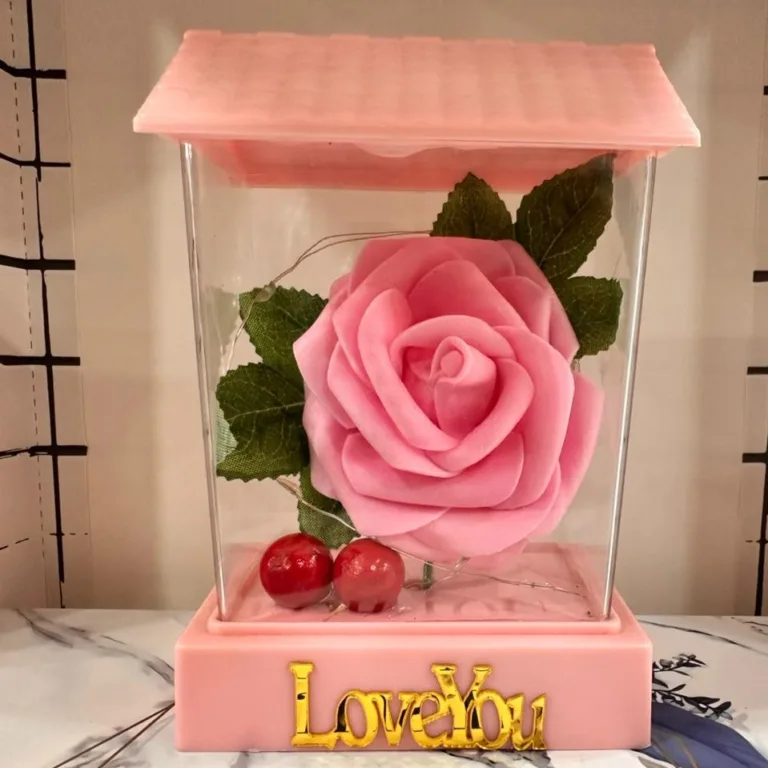 Valentine's Day Gift for Girlfriend LED Enchanted Rose lamp in pink lantern case.