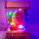 Valentine's Day Gift for Girlfriend LED Enchanted Rose lamp in pink lantern case.